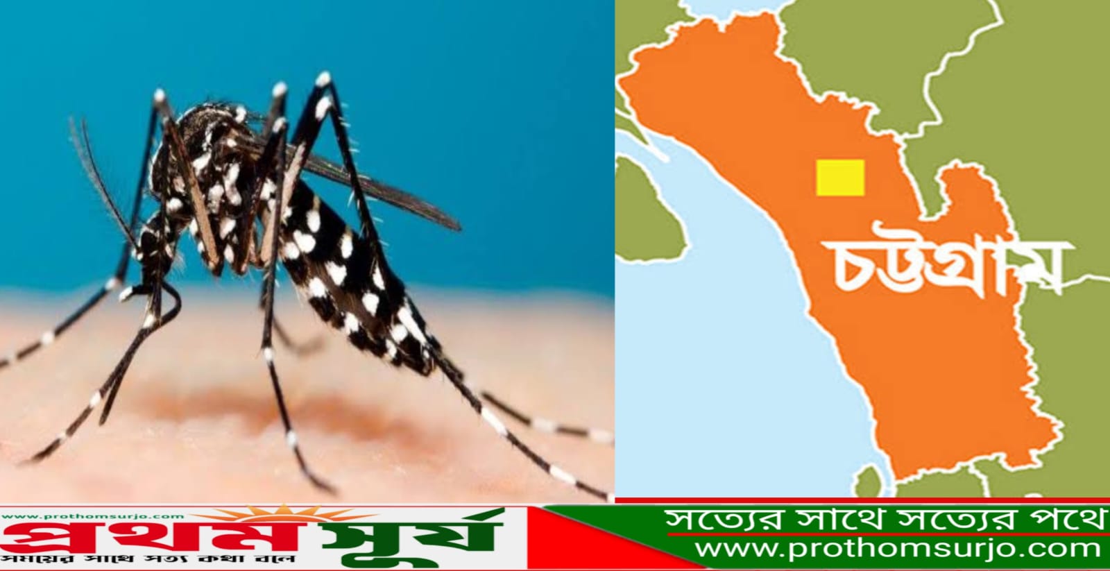 চট্টগ্রামে বেড়েছে চিকুন গুনিয়া ও ডেঙ্গু রোগীর সংখ্যা
