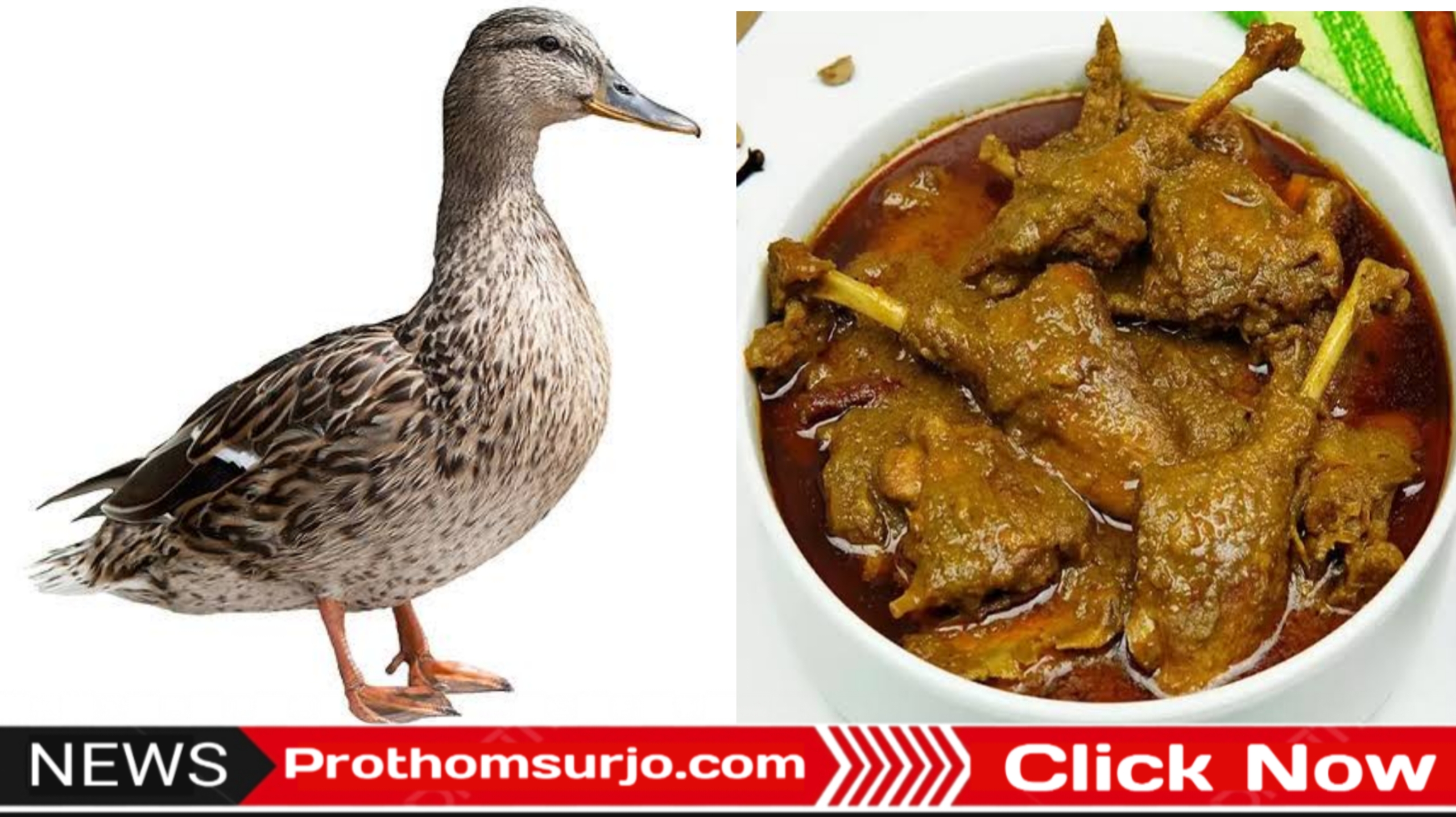 “হাঁসের মাংস: স্বাদ, ঐতিহ্য আর রান্নার কৌশল”