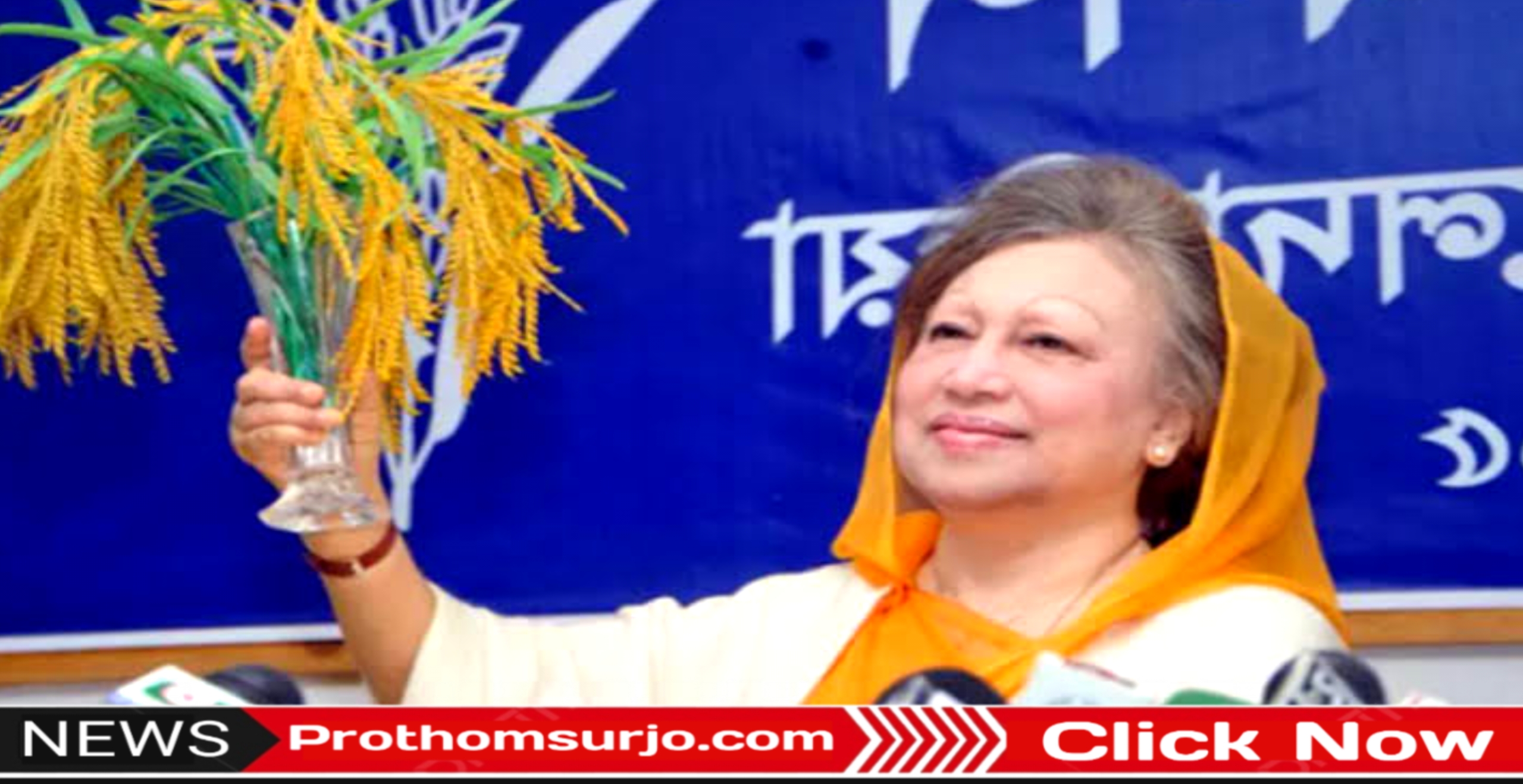 স্মৃতির আয়নায় খালেদা জিয়া: এক সংগ্রামী নেত্রীর জন্মদিনে শ্রদ্ধা