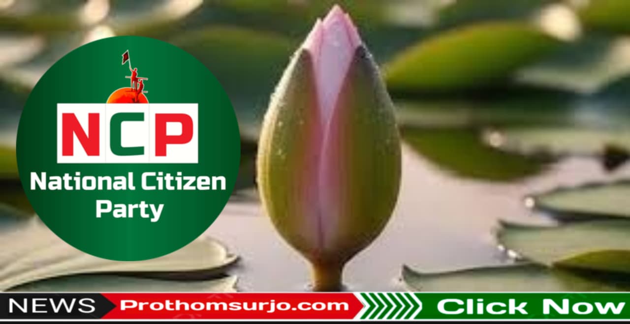 শাপলার কলি প্রতীক পাচ্ছে এনসিপি :শাপলা ও শাপলা কলি এক নয়, পার্থক্য আছে: ইসি সচিব